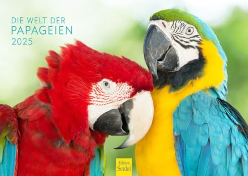 Edition Seidel Premium Kalender Die Welt der Papageien 2025 Format DIN A4 Wandkalender Vogelkalender Papagei Kakadu bunte Vögel